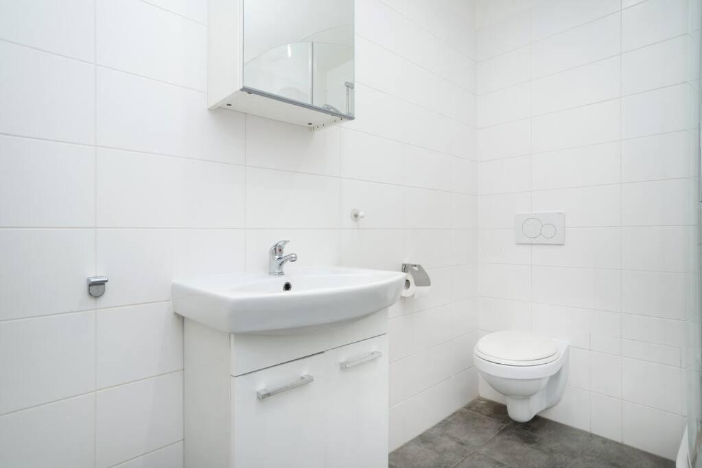 Bright, Spacious Apartment In The Historic Centre 프라하 외부 사진
